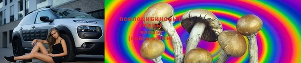 мяу мяу мука Алзамай