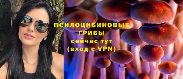 хмурый Абинск