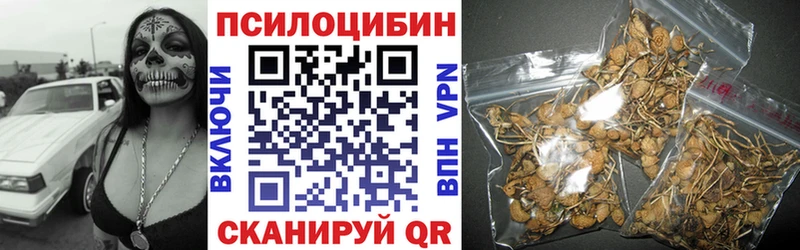 Галлюциногенные грибы ЛСД  Курлово 